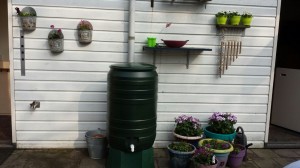 Foto 11-03-16 16 17 07   